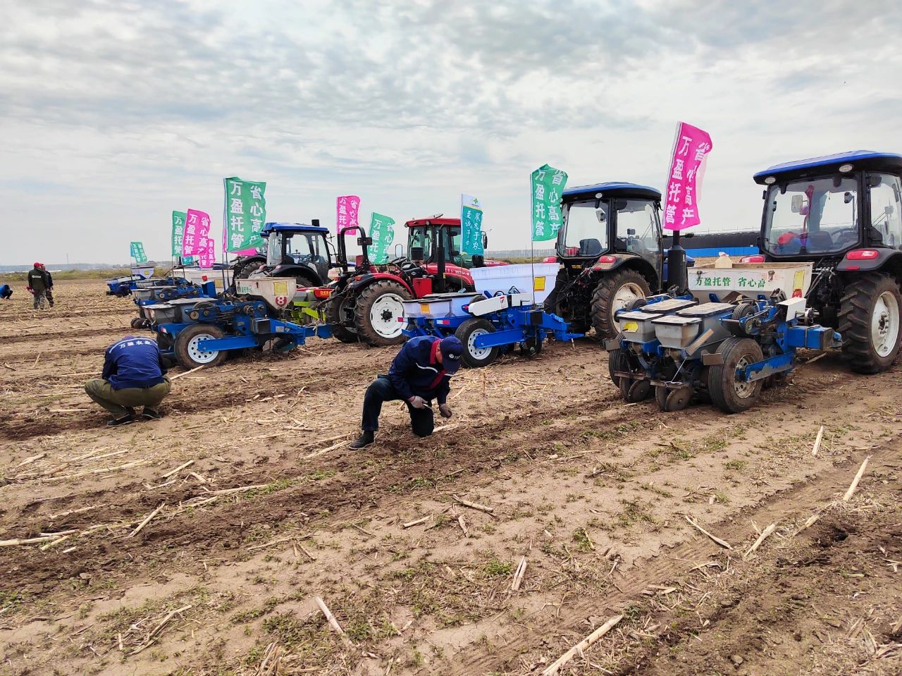 想做好农业社会化服务，需要做好这几点！