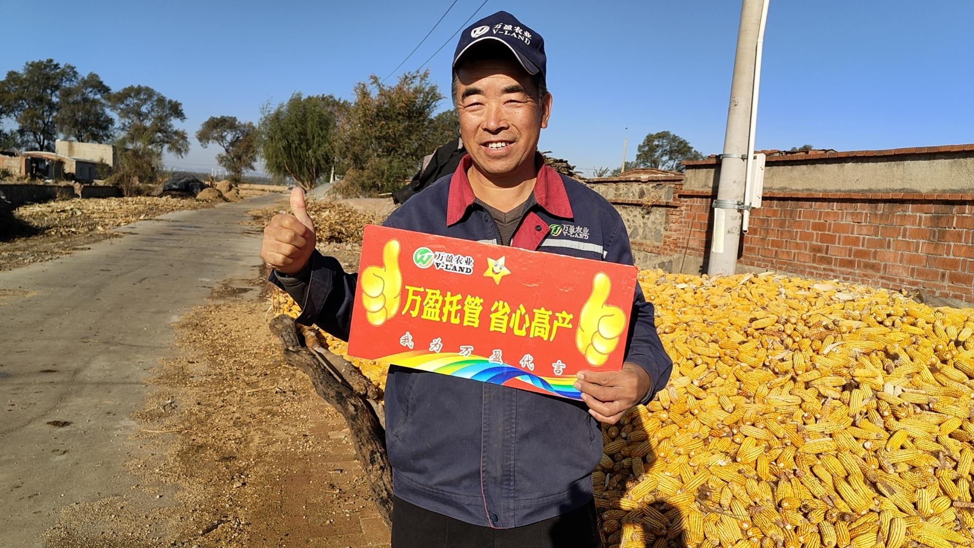 玉米产量构成需要哪些因素？