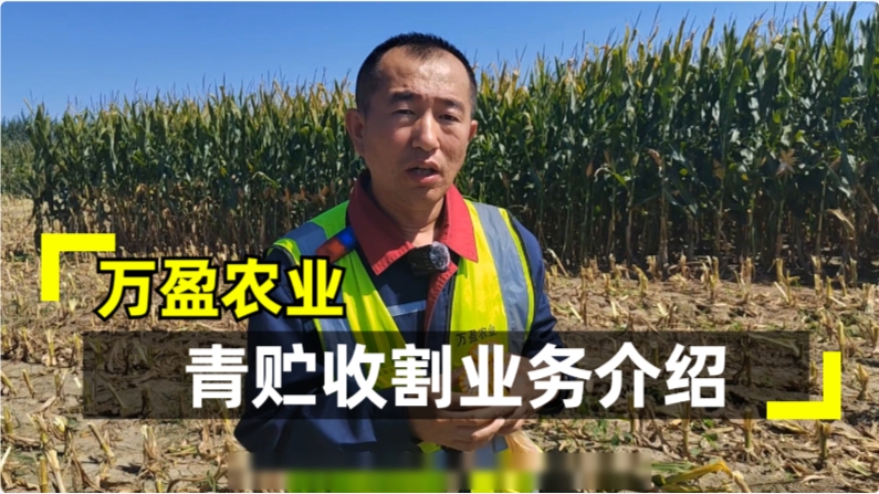 不朽情缘MG-中国官方网站青储收割业务介绍