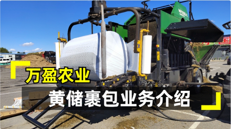 不朽情缘MG-中国官方网站黄储裹包业务介绍