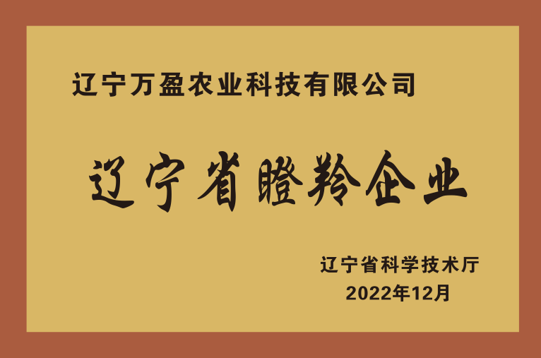 辽宁省瞪羚企业