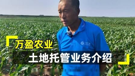 不朽情缘MG-中国官方网站土地托管业务介绍